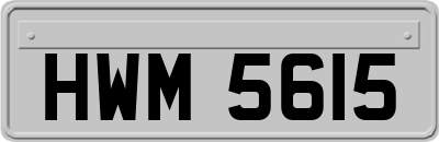 HWM5615