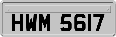 HWM5617