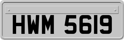 HWM5619