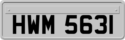 HWM5631