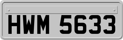 HWM5633