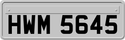 HWM5645