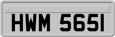 HWM5651