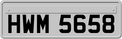 HWM5658