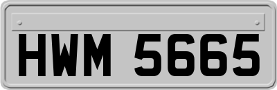 HWM5665