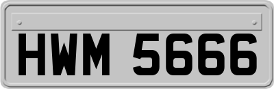 HWM5666