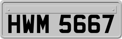 HWM5667