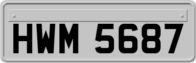 HWM5687