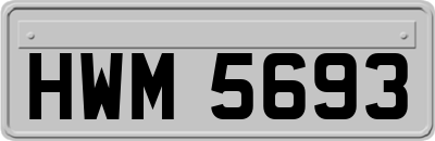 HWM5693