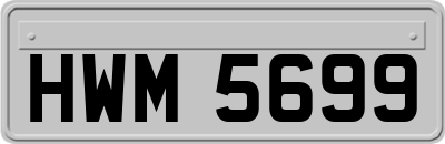 HWM5699