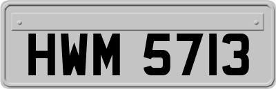 HWM5713