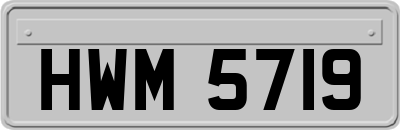 HWM5719