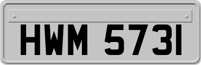 HWM5731
