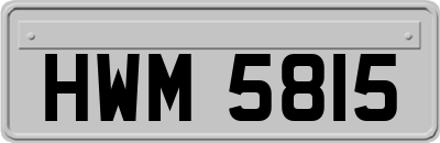 HWM5815
