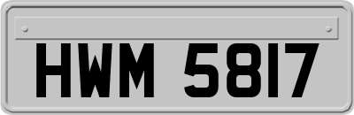 HWM5817