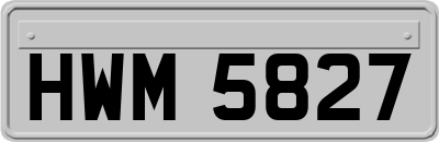 HWM5827