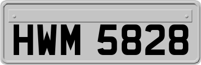 HWM5828