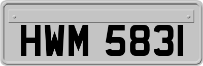 HWM5831