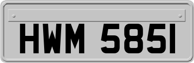 HWM5851