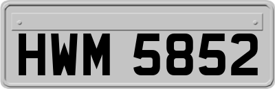 HWM5852