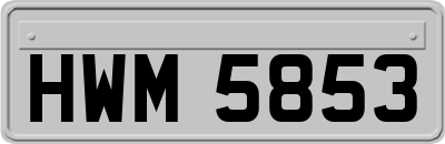 HWM5853