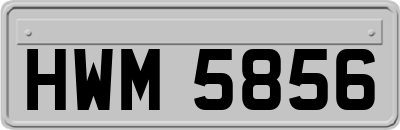 HWM5856