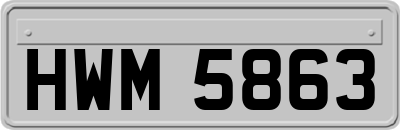 HWM5863