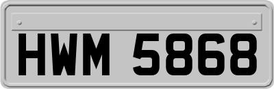 HWM5868