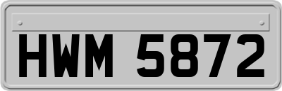 HWM5872