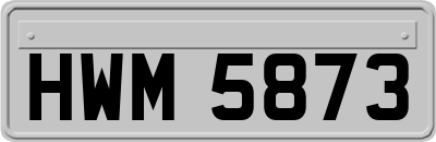 HWM5873