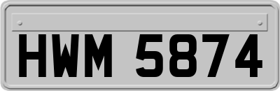 HWM5874