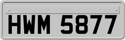 HWM5877