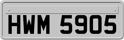 HWM5905