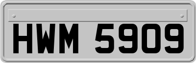 HWM5909