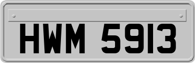 HWM5913