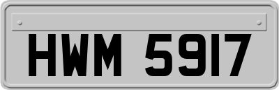 HWM5917