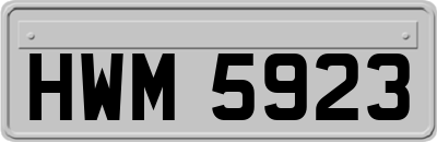 HWM5923