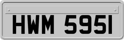 HWM5951