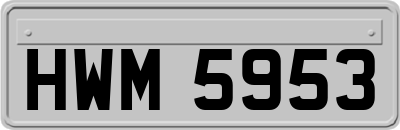 HWM5953