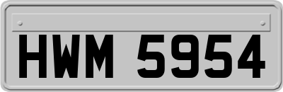 HWM5954