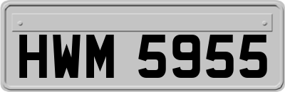 HWM5955