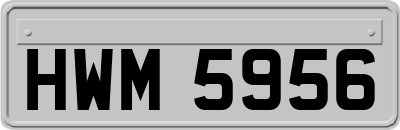 HWM5956