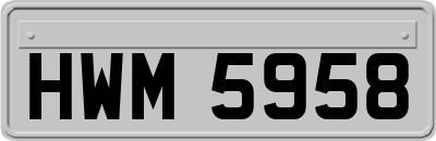 HWM5958