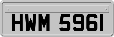 HWM5961