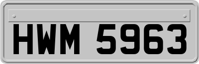 HWM5963