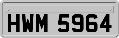 HWM5964