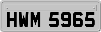 HWM5965