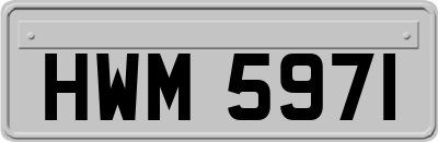 HWM5971