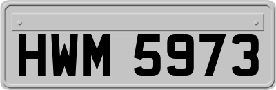 HWM5973