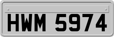 HWM5974